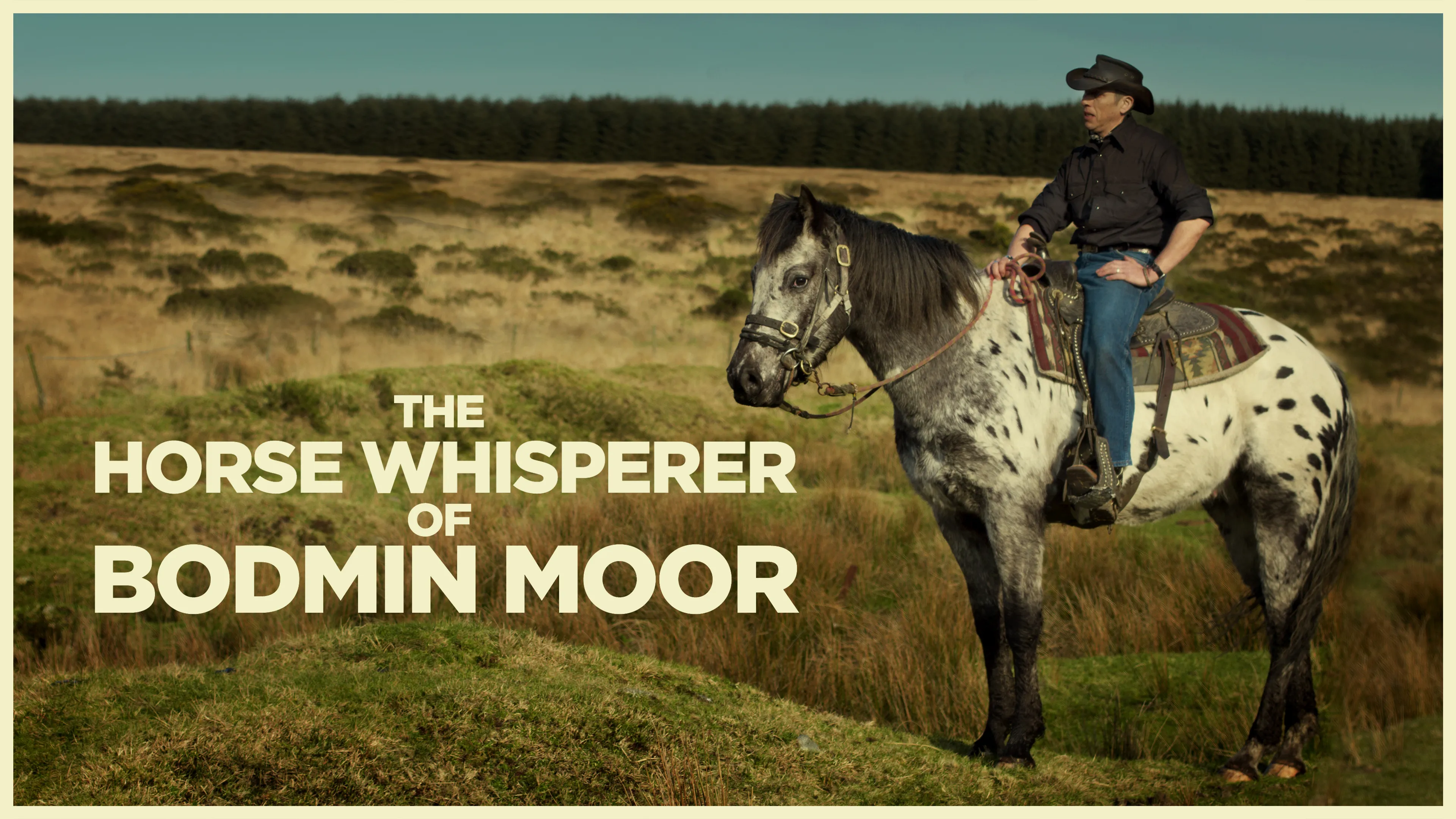 The Horse Whisperer of Bodmin Moor poster